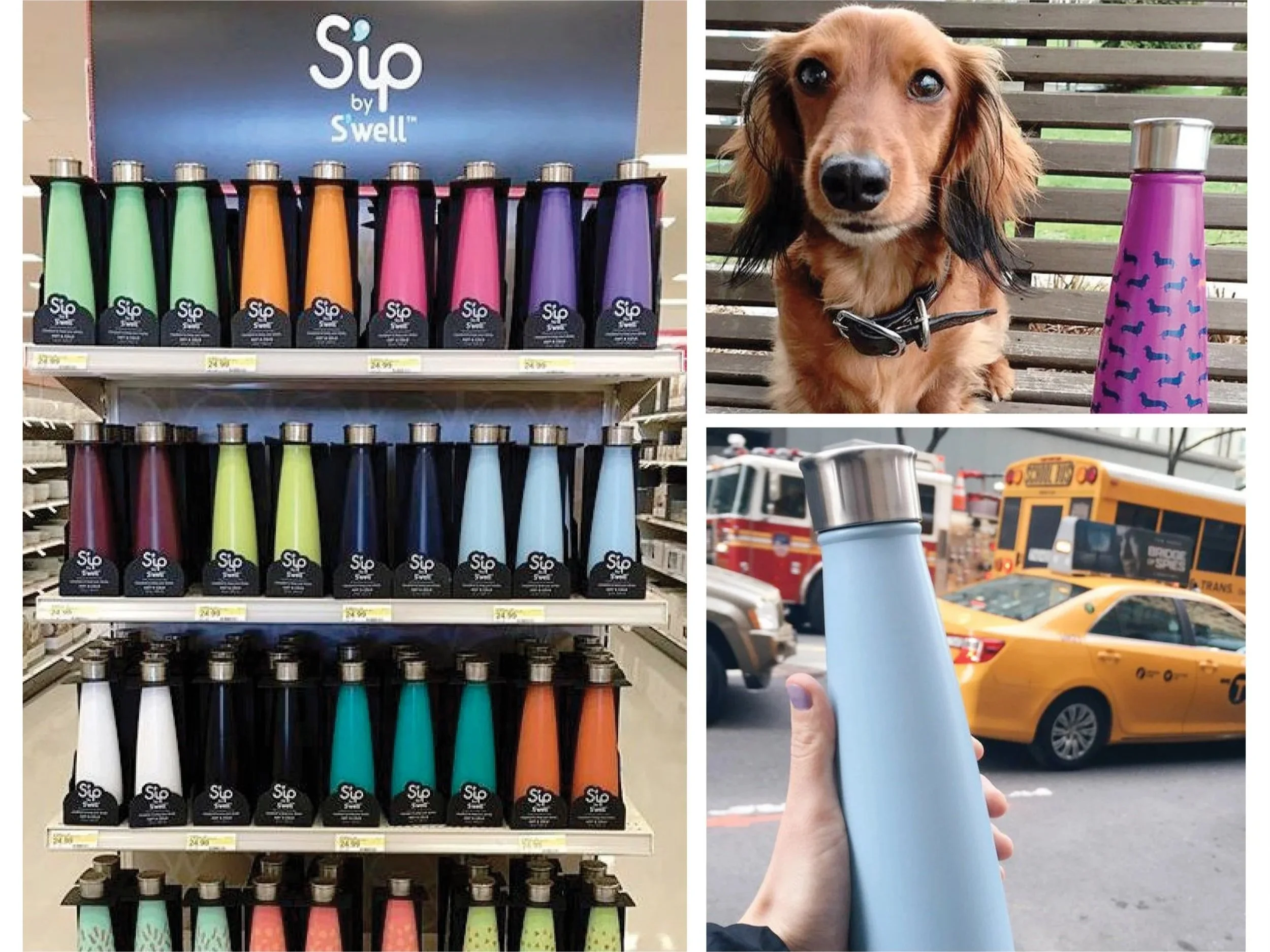 Swell Sip — closure and thread system